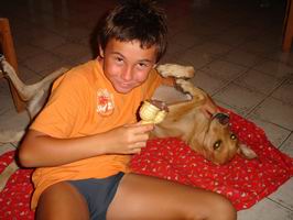 Paul et Socrate
