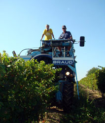 Papy Benou et Michel