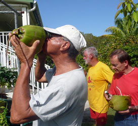 Nestor, Papy Benou et Grard