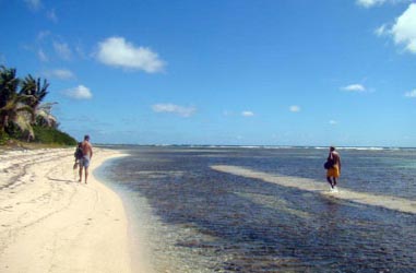 Lagon de l'aroport
